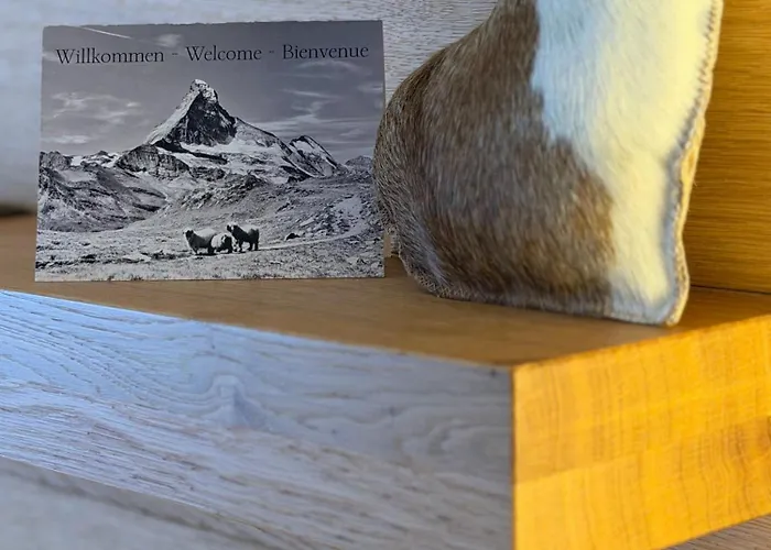 Appartement Achat By Premium Zermatt