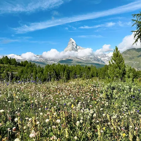 Chalet Achat Zermatt
